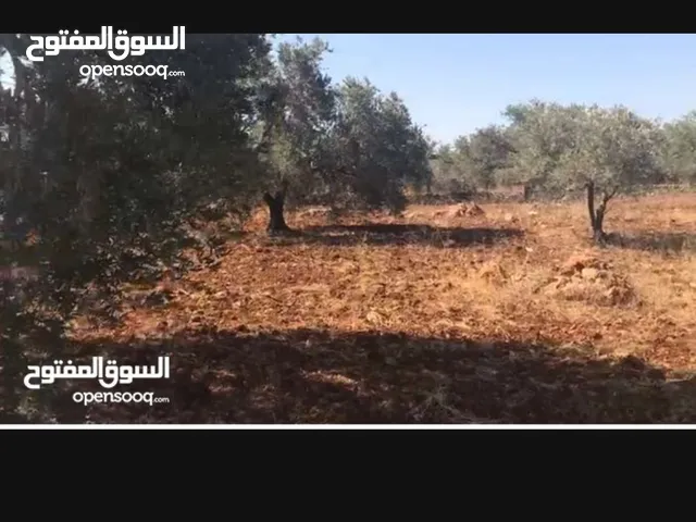Residential Land for Sale in Ramallah and Al-Bireh Kaubar