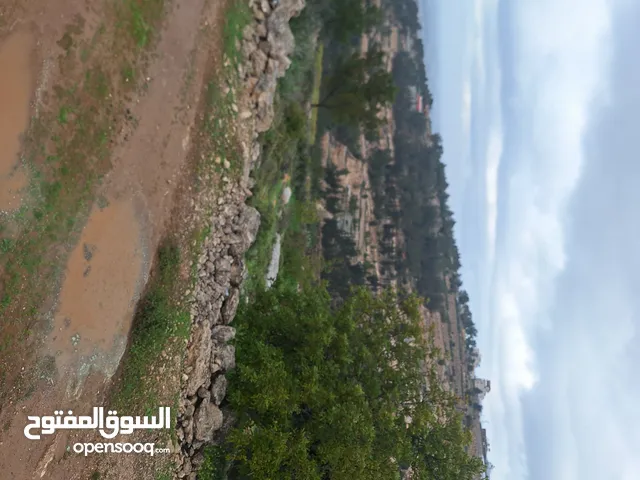 Mixed Use Land for Sale in Hebron Dura