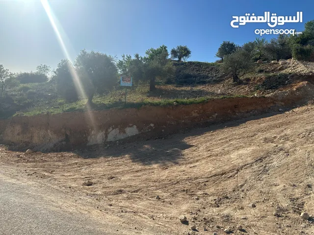 Residential Land for Sale in Ajloun E'in Jana