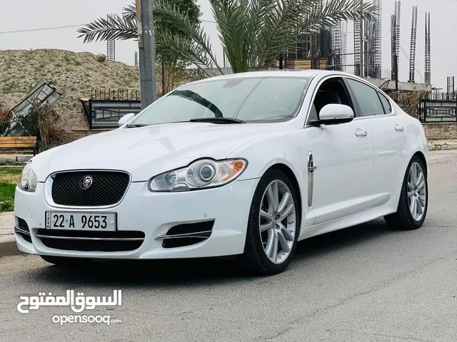 New Jaguar XF in Baghdad