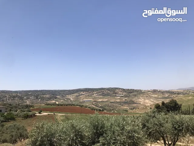 Farm Land for Sale in Salt Al-Sleihi