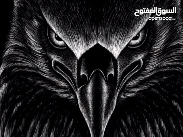 AHMED MAHER