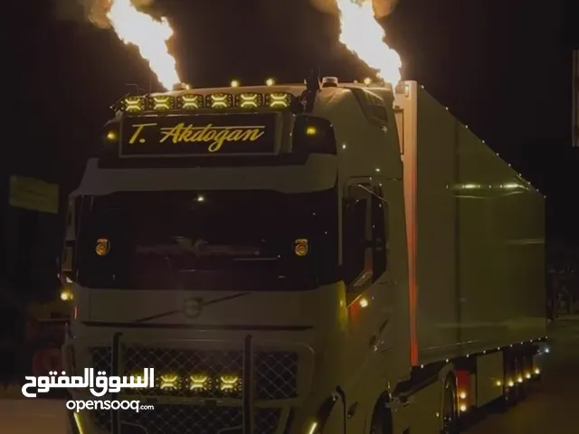 مطلوب كلب للتبني
