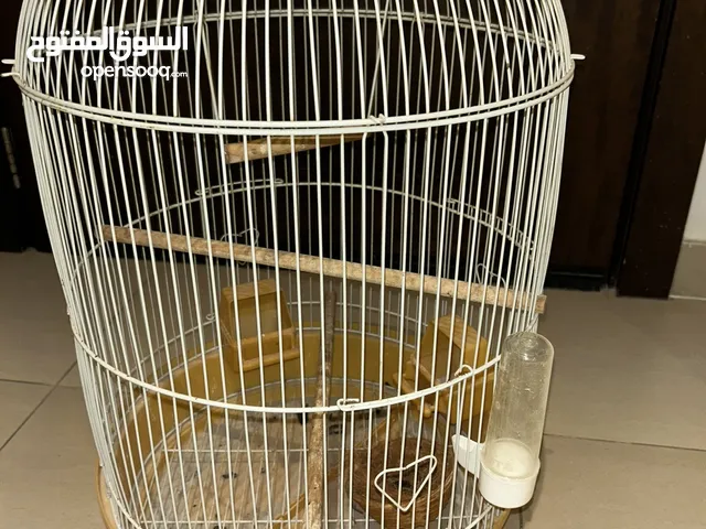 Cage for birds with stand