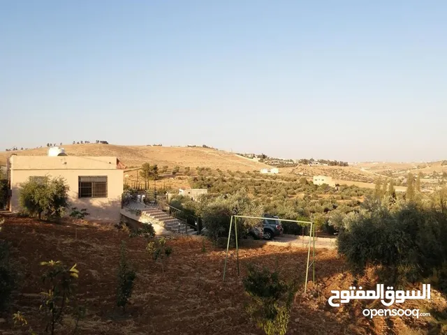 Farm Land for Sale in Amman Abu Nsair