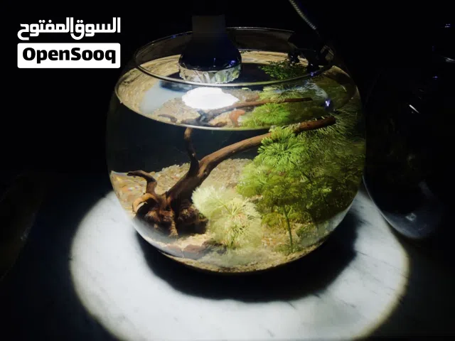 حوض اسماك مكتبي فاخر
