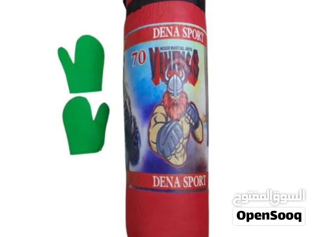 كيس ملاكمة احترافي مع قفازات