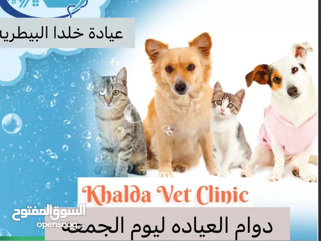 عيادة خلدا البيطريه Khalda Vet Clinic