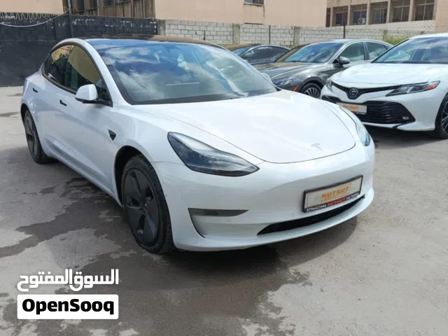 2021 Tesla Model 3 Standard Plus