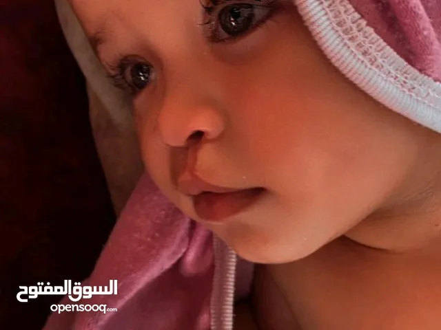 سلامه براهمه