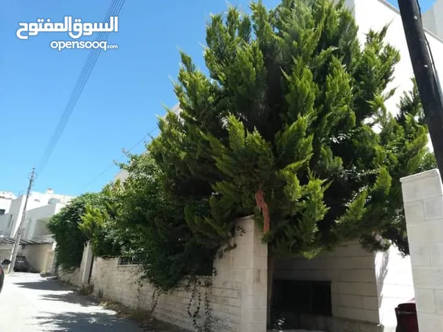 500 m2 5 Bedrooms Apartments for Sale in Amman Dahiet Al Ameer Rashed