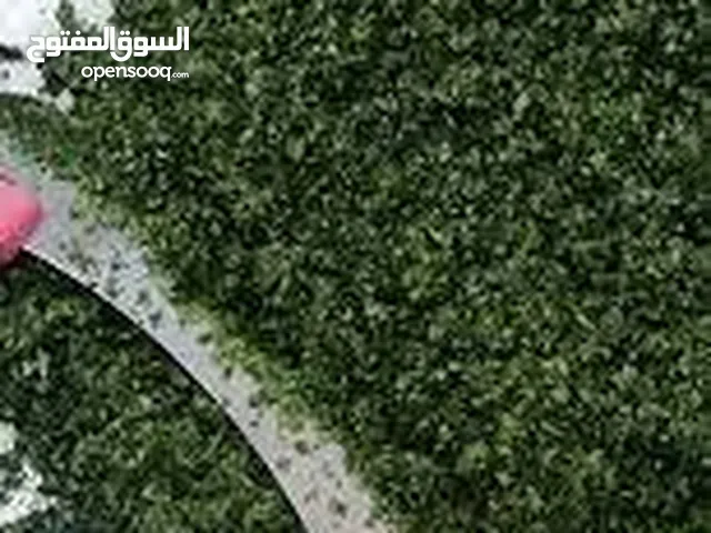 ملوخيه شغل بيت 4كيلو اخضر ب 10د ناشف الكيلو 5 اقل سعر ملوخيه السنه نخبب ملوخيه مغسله ونضيفه وجاهز