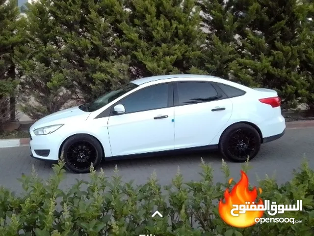 New Ford Focus in Ramallah and Al-Bireh