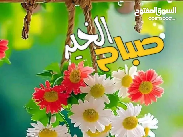 مطلوب شقة للايجار في مدينة الشرق