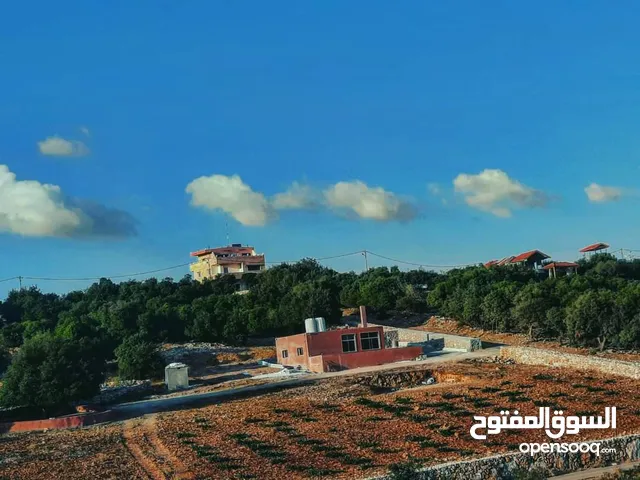 80 m2 3 Bedrooms Apartments for Rent in Ajloun I'bbeen