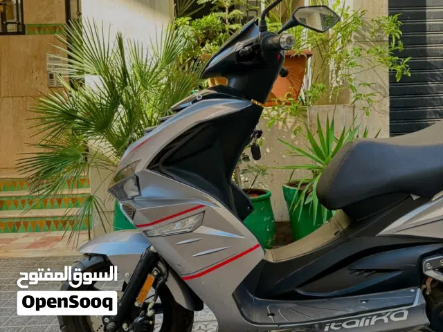 2026 تايجر سافانا