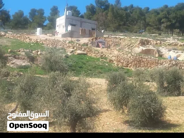 Residential Land for Sale in Mafraq Other