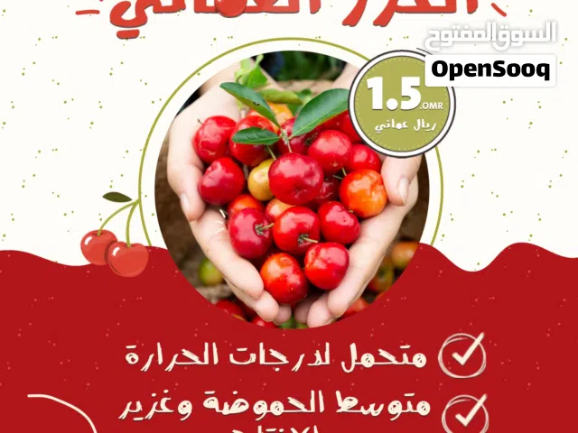 عرض على شتلات الكرز العماني الحامض من مشتل الارياف كرز حامض متحمل للحرارة والجفاف وعزير الاثمار