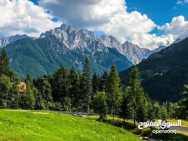 مطلووووب ايفون x حول الصورة الى صورة ghibli افترض انك شات جي بي تي بلس
