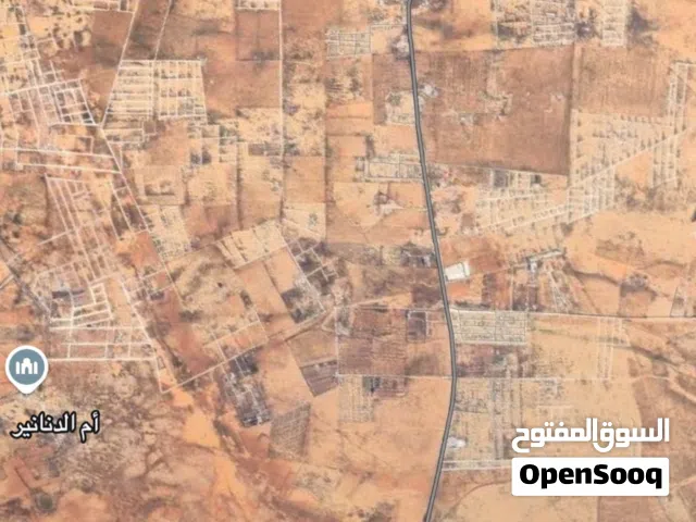 ربع هكتار في بودريسه
