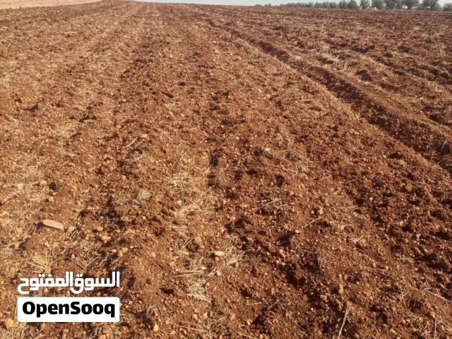 1 Bedroom Farms for Sale in Fès Route d'Imouzzar