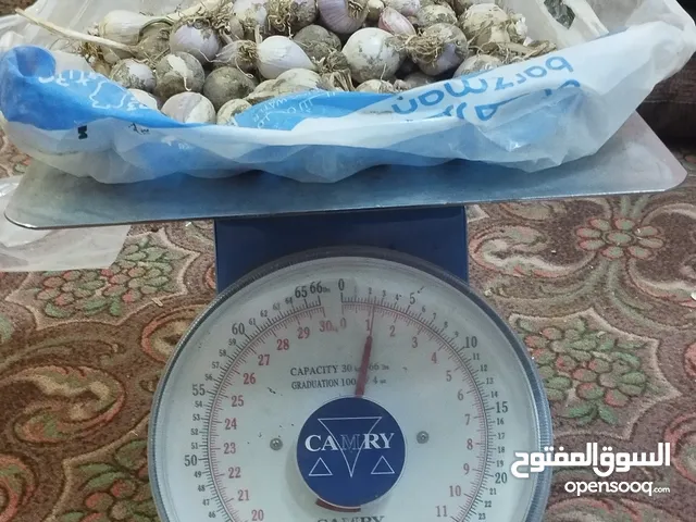 ثوم ذكر عماني