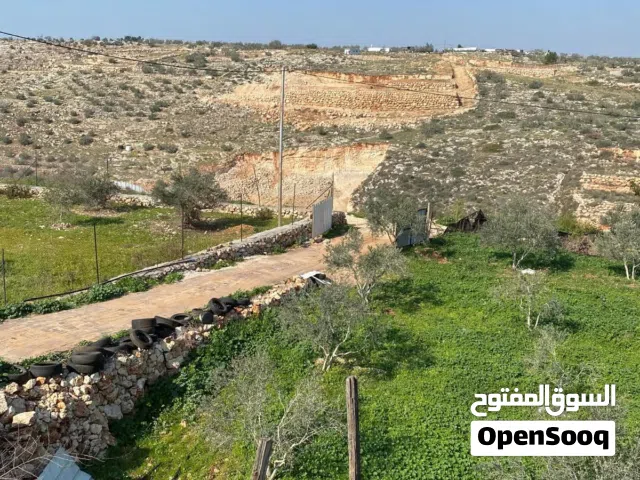 Mixed Use Land for Sale in Qalqilya Jayus
