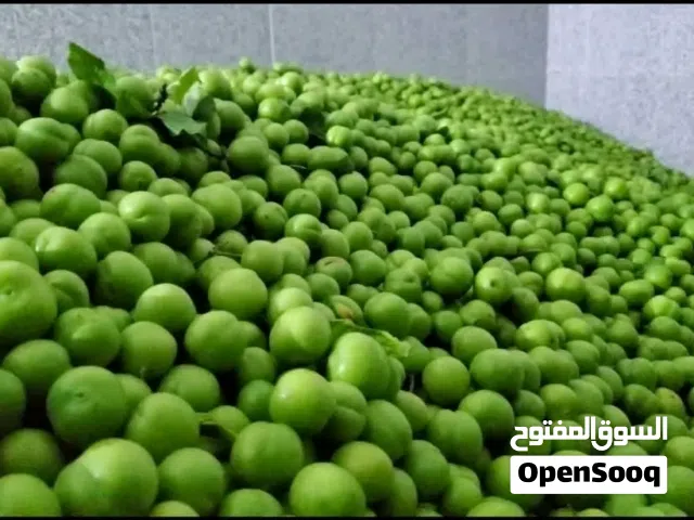 البرقوق Plum