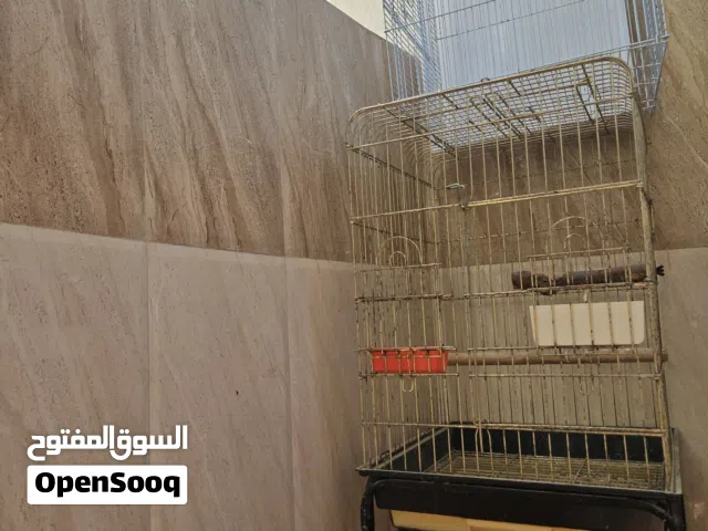 Birds cage for sale