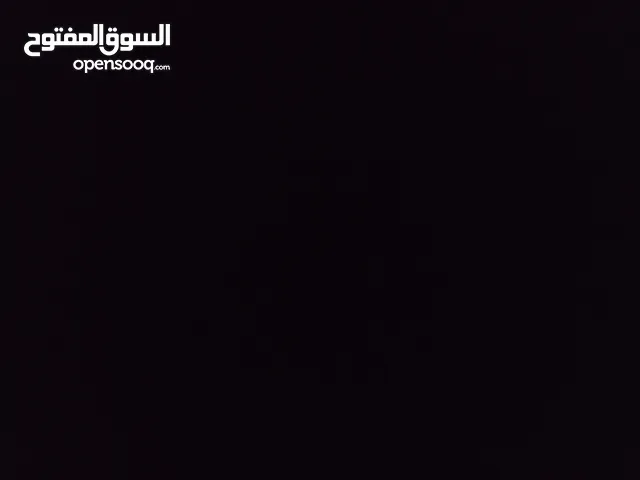 محمد ياسر ماجد سمرين