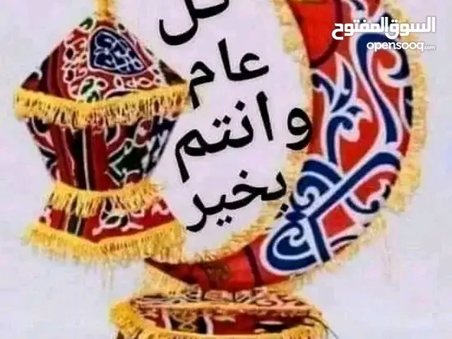حماد عبد المنعم