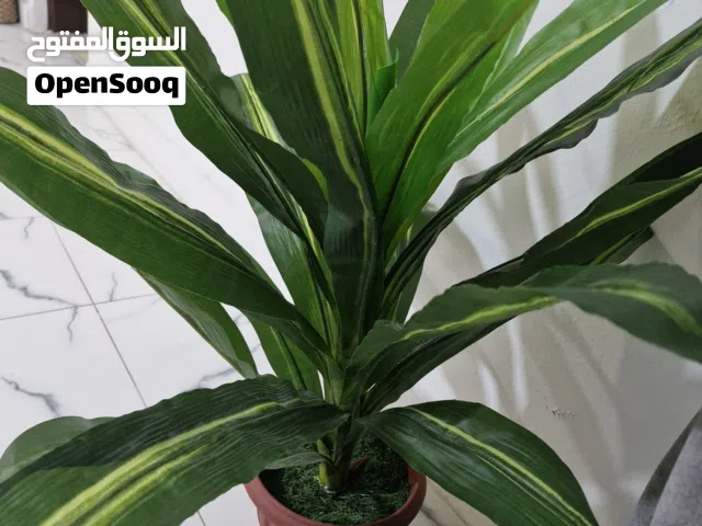 artificial plants for sale