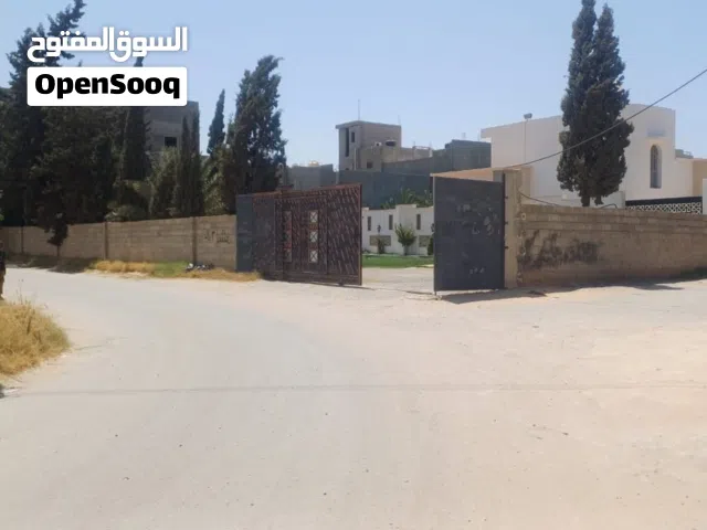 ارض للبيع طريق مشتل في بدايه طريق مشتل