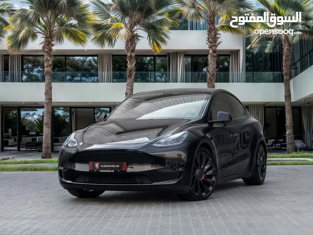 Tesla Model Y Performance