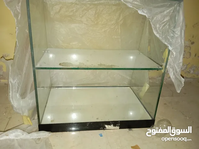 فترينة المقهي حلويات واكلات