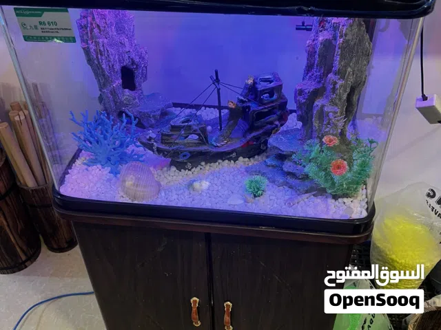 حوض سمك جديد ماركة ماننح
