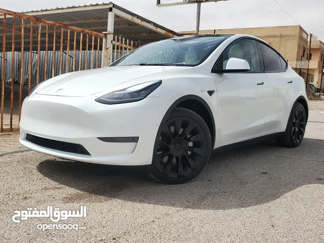 TESLA MODEL Y 5000 mile LONGE RANGE DUALMOTOR
