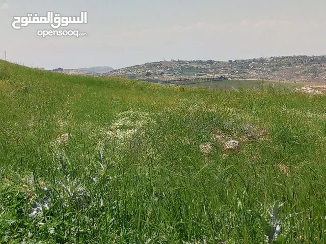 Farm Land for Sale in Amman Husban