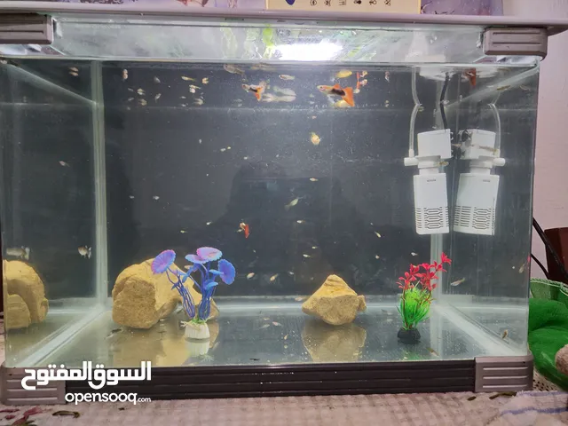 بسم الله السلام عليكم