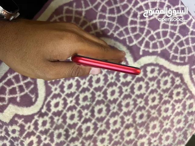 ايفون 11 عادي لل بدل او للبيع