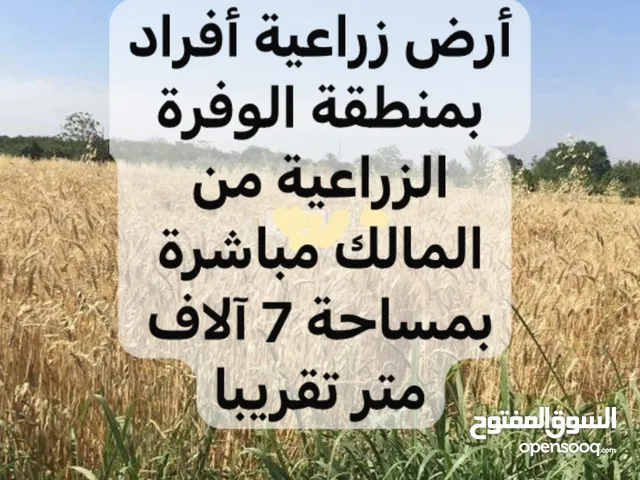 مطلوب من المالك مباشره