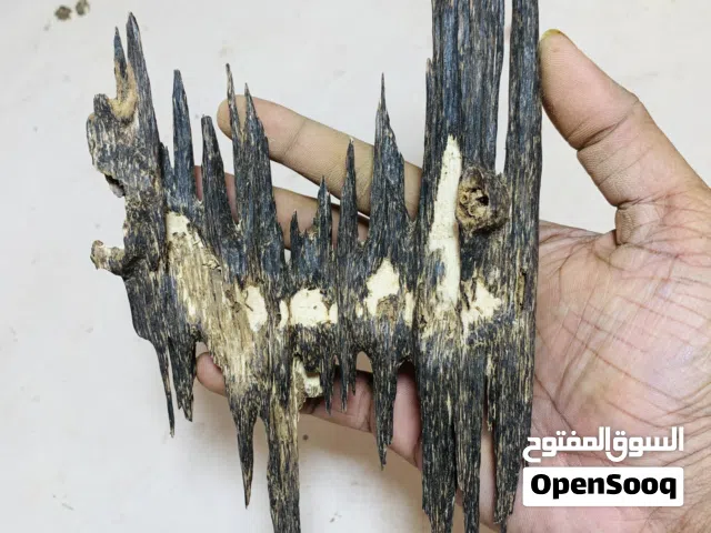 Hindi Silani Phillipini Oudh Available whole sale ant retail price