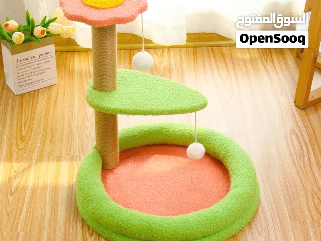 Kitten playing Stand n house