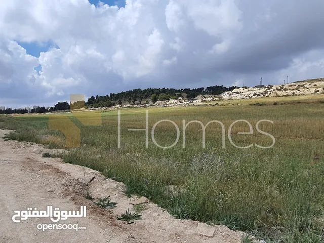 Residential Land for Sale in Amman Marj El Hamam