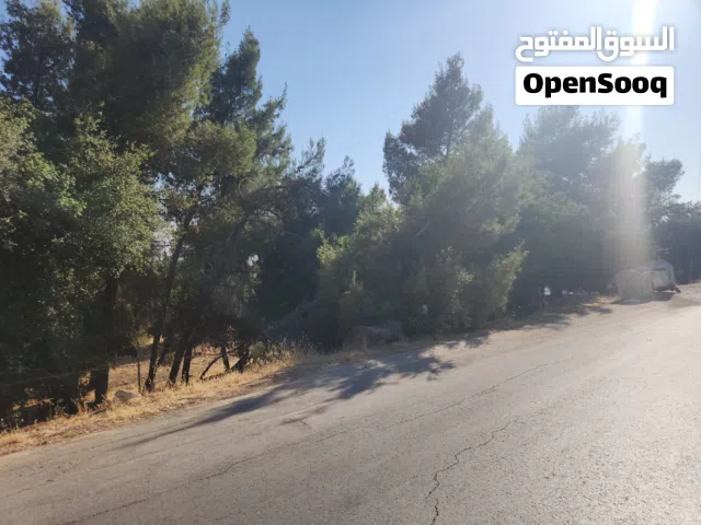 Residential Land for Sale in Salt Al Balqa'