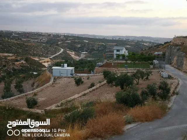 ارض باطلالة مميزة في صوريف أول أبوشوك زفتة وكهربا لباب الأرض