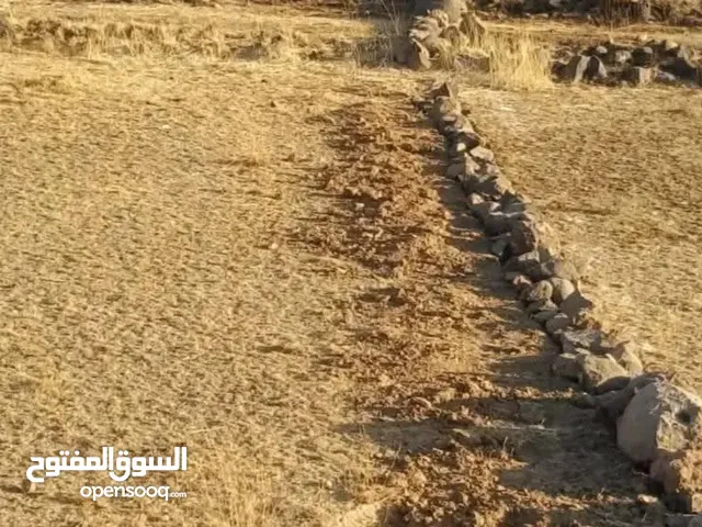 عقاران استثماريه للبيع