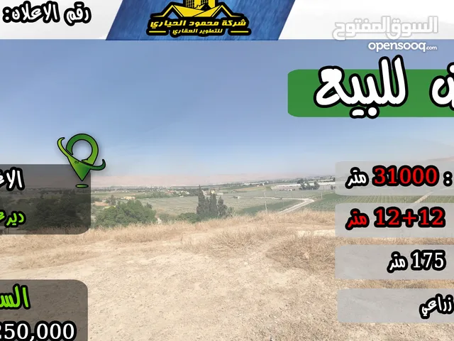 رقم الاعلان (4562) ارض زراعية استثمارية للبيع في منطقة ديرعلا