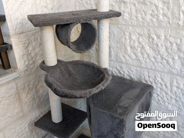 خداشة قطط ولليتر بوكس