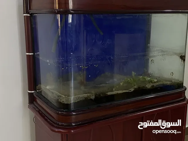 حوض سمك متوسط